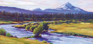 drc-metoliusmdw-sm