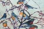 SLH-Winter Robins.wb