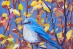 SLH-bluebird-wb