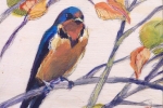 SLH-swallow-wb
