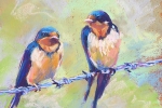 SLH-swallows-wb