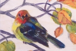 SLH-tanager-wb