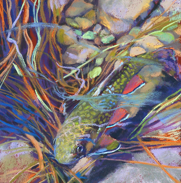 "Baby Brookie", SOLD—Available as a limited edition fine art reproduction. slh-babybrookie-wb