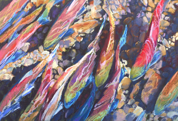 "Primal Call"—Soft Pastel SOLD Available as a limited edition fine art reproduction. SLH-kokanee-spawn-wb.jpg