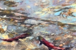 SLH-2kokanee