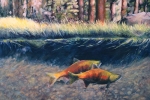 SLH-2salmon.ontheroadagain.24x30.wb_