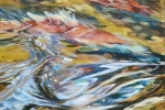 SLH-spawning kokanee.wb