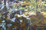 SLH.brookie layers.wb