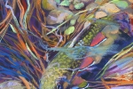slh-babybrookie-wb slh-babybrookie-wb