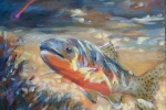 slhbrookie-wb