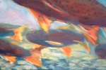 slhfishcurrentwb slhfishcurrentwb