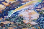 SLH.pink trout.wb