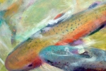 trout-pond-2wb
