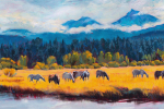 SLH-BBR-horses-in-meadow-online
