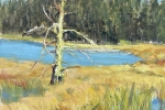SLH-Glory-Snag-10x10-acrylic-250-wb