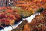 SLH-Restoration-30x30-acrylic-wb