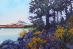 SLH-autumn dusk at Elk lake.wb SLH-autumn dusk at Elk lake.wb