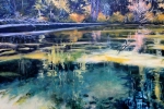 SLH-fairyland-odell-4x5-wb
