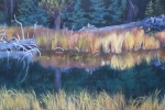 SLH-headwaters.deschutes.deep.wb SLH-headwaters.deschutes.deep.wb