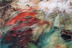 SLH.Fernviewabstract.wb SLH.Fernviewabstract.wb