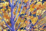 slh-autumnclose-up-wb