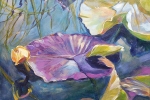 slh-waterlilly-wb