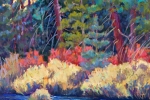 slh-wizard-falls-wb