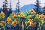 slhsierrabalsam